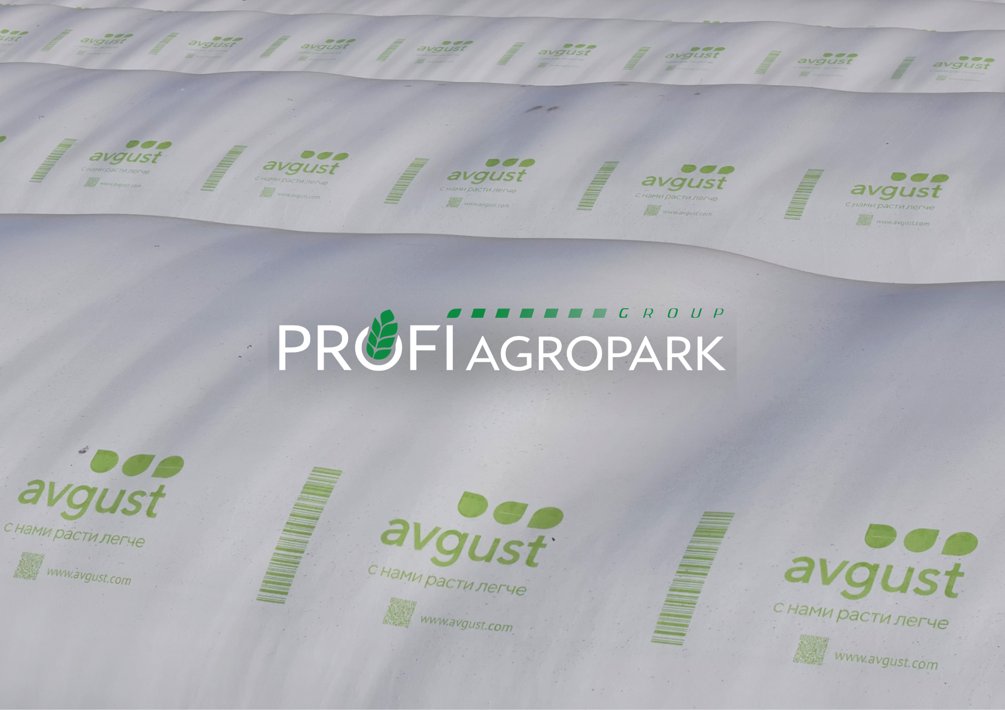 Профи-Агропарк Групп запускает новое сотрудничество с компанией Avgust