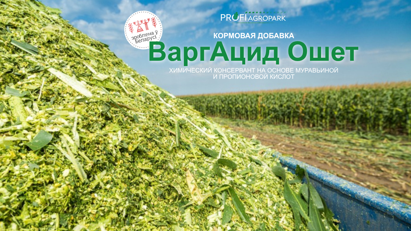 Картинка Применение консерванта ВаргАцид Ошет для улучшения качества кормов